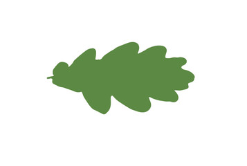 oak leaf on transparent background ,