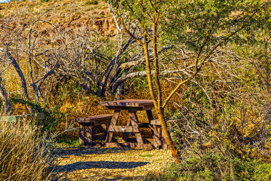 Picnic site with composite wood bench and Acacia trees in the Karoo National Park, Western Cape, South Africa - Powered by Adobe