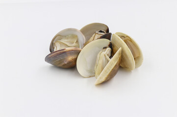 Closed up fresh baby clams, venus shell, shellfish, carpet clams, short necked clams, as raw food from the sea are the seafood ingredients. fresh clams isolated on white background.