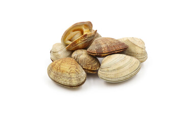 Closed up fresh baby clams, venus shell, shellfish, carpet clams, short necked clams, as raw food from the sea are the seafood ingredients. fresh clams Background.