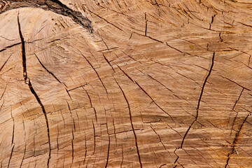Old wooden texture for background that has natural.