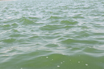 ocean water waves ripples. green water surface of the sea. background.
