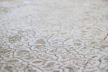 Obraz premium Cracked concrete floor