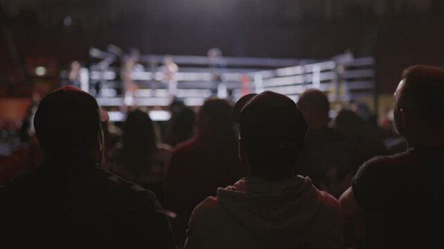 A crowd of people are watching a boxing match