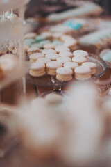 Beautiful cakes and cookies. Wedding candy bar. Delicious creamy desserts with fruits, macarons, cakes and cookies on table at wedding reception in restaurant. Luxury catering service.