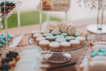 Beautiful cakes and cookies. Wedding candy bar. Delicious creamy desserts with fruits, macarons, cakes and cookies on table at wedding reception in restaurant. Luxury catering service.