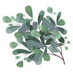 Leaves and branches, Imitation of watercolor, isolated on white. Sketched wreath, floral and herbs garland. Handdrawn Vector Watercolour style, nature illustration.