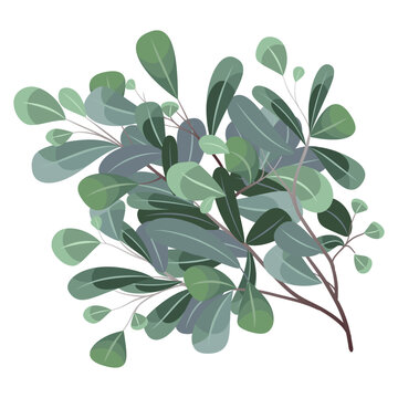 Leaves and branches, Imitation of watercolor, isolated on white. Sketched wreath, floral and herbs garland. Handdrawn Vector Watercolour style, nature illustration.