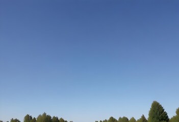 Obraz premium Clear blue sky, no clouds, among spoiled tree branches in winter time, cold, deep light blue, no people