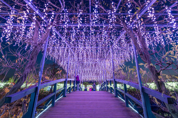 あしかがフラワーパークのイルミネーション（日本栃木県足利市）