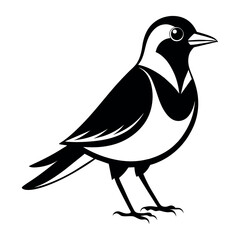Flat Vector Illustration Silhouette Beautiful Birds collection | Bird Icon symbol Silhouette vector illustration isolated on a white background