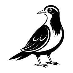 Flat Vector Illustration Silhouette Beautiful Birds collection | Bird Icon symbol Silhouette vector illustration isolated on a white background