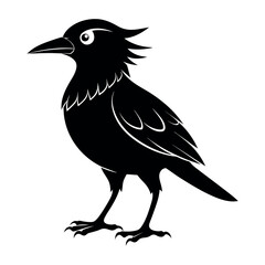 Flat Vector Illustration Silhouette Beautiful Birds collection | Bird Icon symbol Silhouette vector illustration isolated on a white background