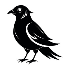 Flat Vector Illustration Silhouette Beautiful Birds collection | Bird Icon symbol Silhouette vector illustration isolated on a white background