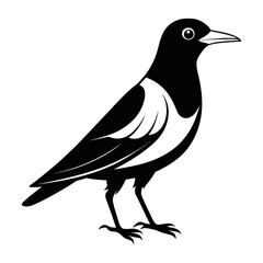 Flat Vector Illustration Silhouette Beautiful Birds collection | Bird Icon symbol Silhouette vector illustration isolated on a white background