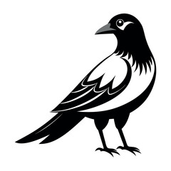 Flat Vector Illustration Silhouette Beautiful Birds collection | Bird Icon symbol Silhouette vector illustration isolated on a white background