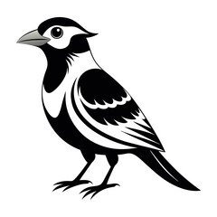 Flat Vector Illustration Silhouette Beautiful Birds collection | Bird Icon symbol Silhouette vector illustration isolated on a white background