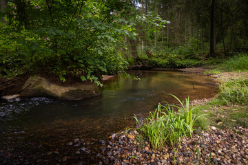 A small river stream flowing through the forest with lush green grass on the banks. Natural scenery...