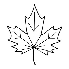 maple leaf silhouette vector art illustration