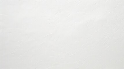 Obraz premium White Embossed Texture Background