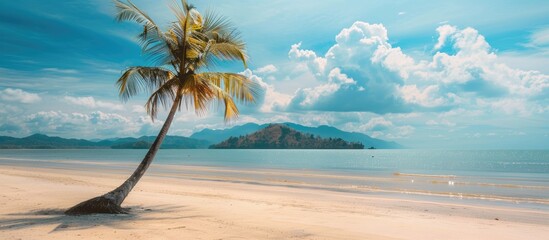 Fototapeta premium Scenic tropical beach with palm tree featured in panoramic banner image.