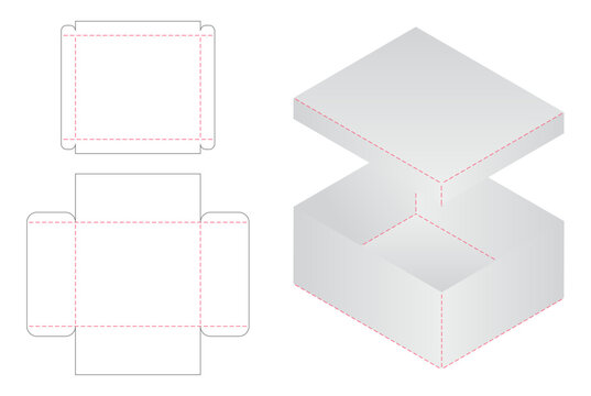Box packaging die cut template design. 3d mock-up