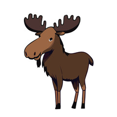 elk_001