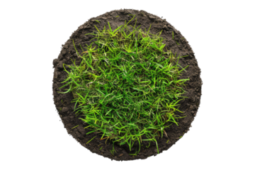 Round land made with green grass isolated on transparent background