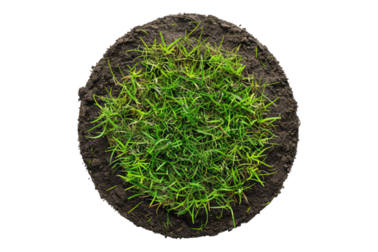Round land made with green grass isolated on transparent background - Powered by Adobe