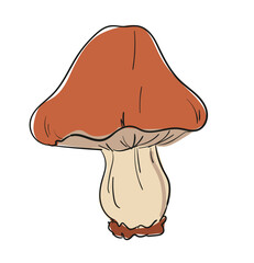 Mushrooms set hand drawn vector illustration