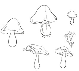 Mushrooms set sketch hand drawn vector illustration lineart