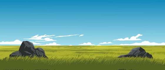 Grassland on sunny day. Summer background