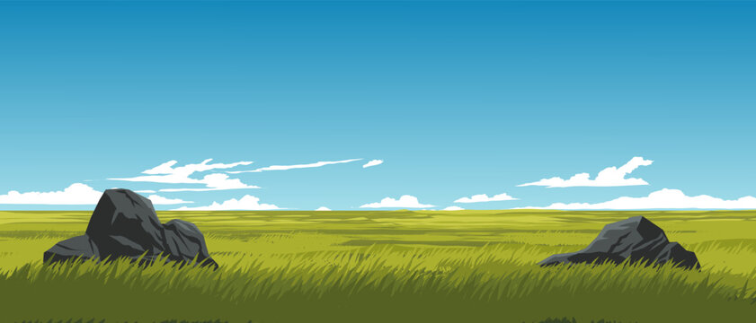 Grassland on sunny day. Summer background