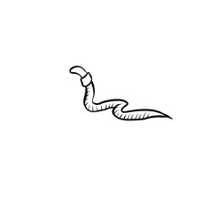 Obraz premium earthworm