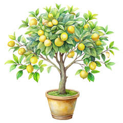Fresh Watercolor Lemon Tree | Citrus Tree | Hand-Drawn Style | Transparent Background PNG | Clipart