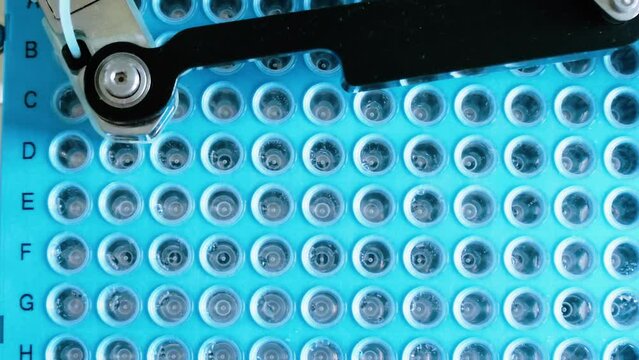 high-tech laboratory automation system, mechanical robotic arm working on blue plate with multiple wells. sequencing research and genetic tests. Science research, laboratory work, and medical testing 