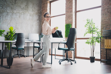 Photo of attractive good mood age lady recruiter dressed formal shirt typing modern device enjoy...
