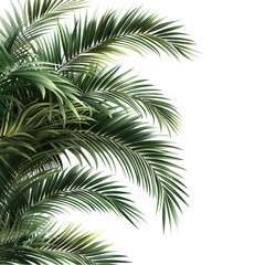 Framework of tropical verdant palm tree leaves separated on translucent backdrop, Generative AI.