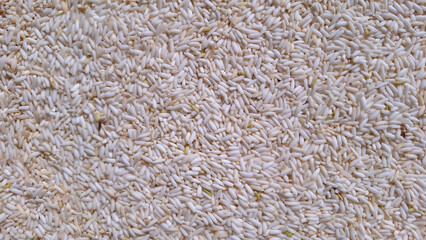 Top view of white rice grain surface Natural organic rice healthy food Agriculture of Asian Culture