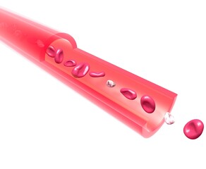 Anatomical 3D illustration of an artery. Slows down red blood cells and platelets in blood circulation. Capillary cut out on white background.