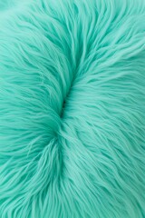 Fototapeta premium fluffy fur wool