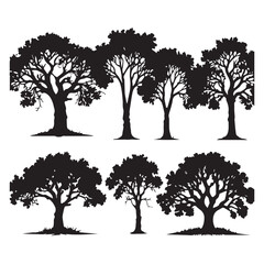 Oak tree set black silhouette vector Clip art