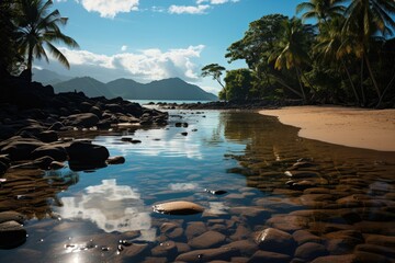 Fototapeta premium Port Douglas, Australia, Cape Tribulation National Park, with isolated beaches., generative IA