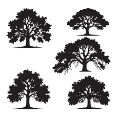 Obraz premium Oak tree set black silhouette vector Clip art