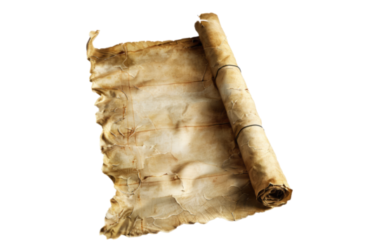 Parchment scroll isolated on transparent background
