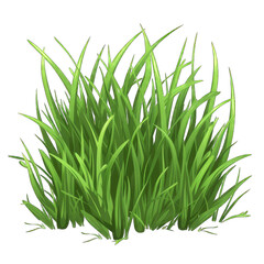 Lush green grass illustration, perfect for nature-themed projects. Vector image representing healthy, vibrant foliage. isolated on transparent background