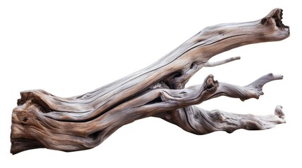 Obraz premium Isolated driftwood sculpture with smooth contours, perfect for decorative concepts