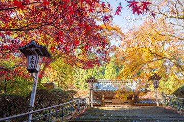 秋の大雄山最乗寺　瑠璃門と紅葉（日本神奈川県南足柄市）