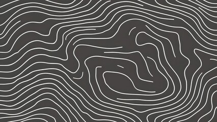 Abstract gray topography contour map background design .geometric black wave curve lines texture .abstract topographic map with wave line pattern