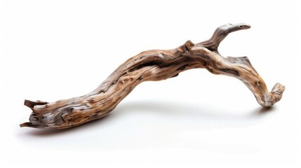 Naklejka premium Twisted driftwood branch isolated on white, highlighting its organic textures